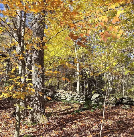 540 Shampeny Hill Road Hancock VT 05748