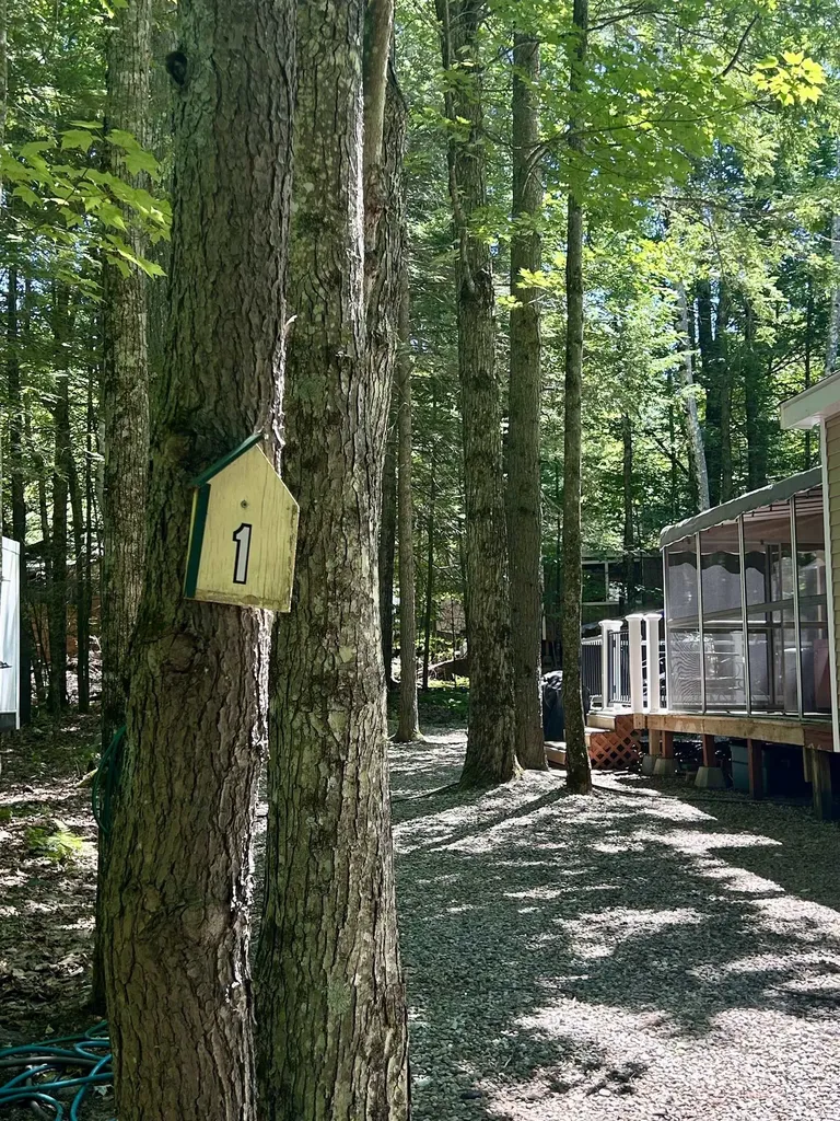 65 Barrett Place Moultonborough NH 03254-4700