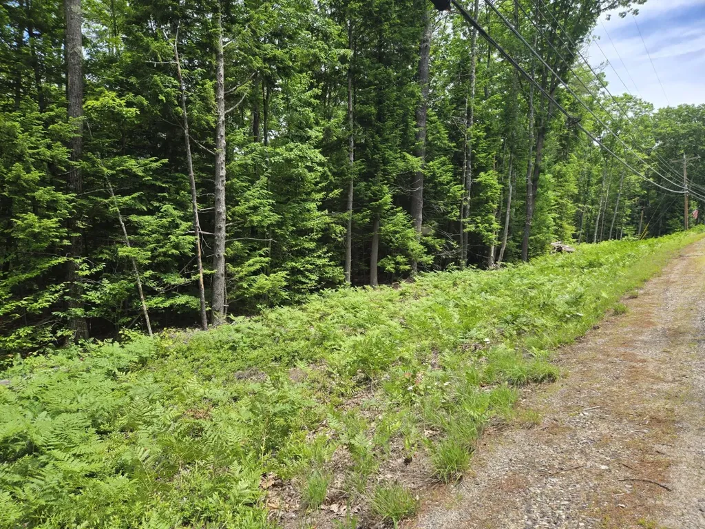 208 Nh Route 3a Hill NH 03243