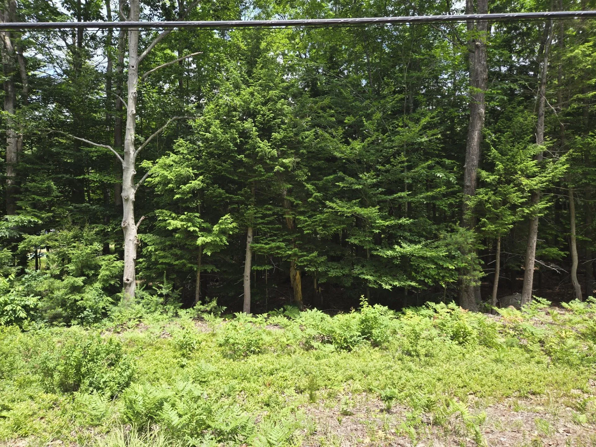 208 Nh Route 3a Hill NH 03243