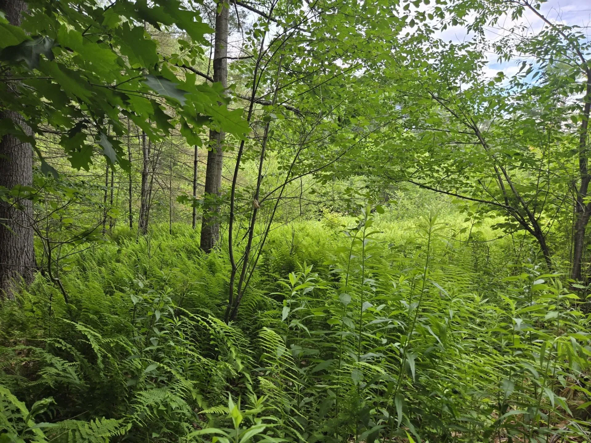 208 Nh Route 3a Hill NH 03243