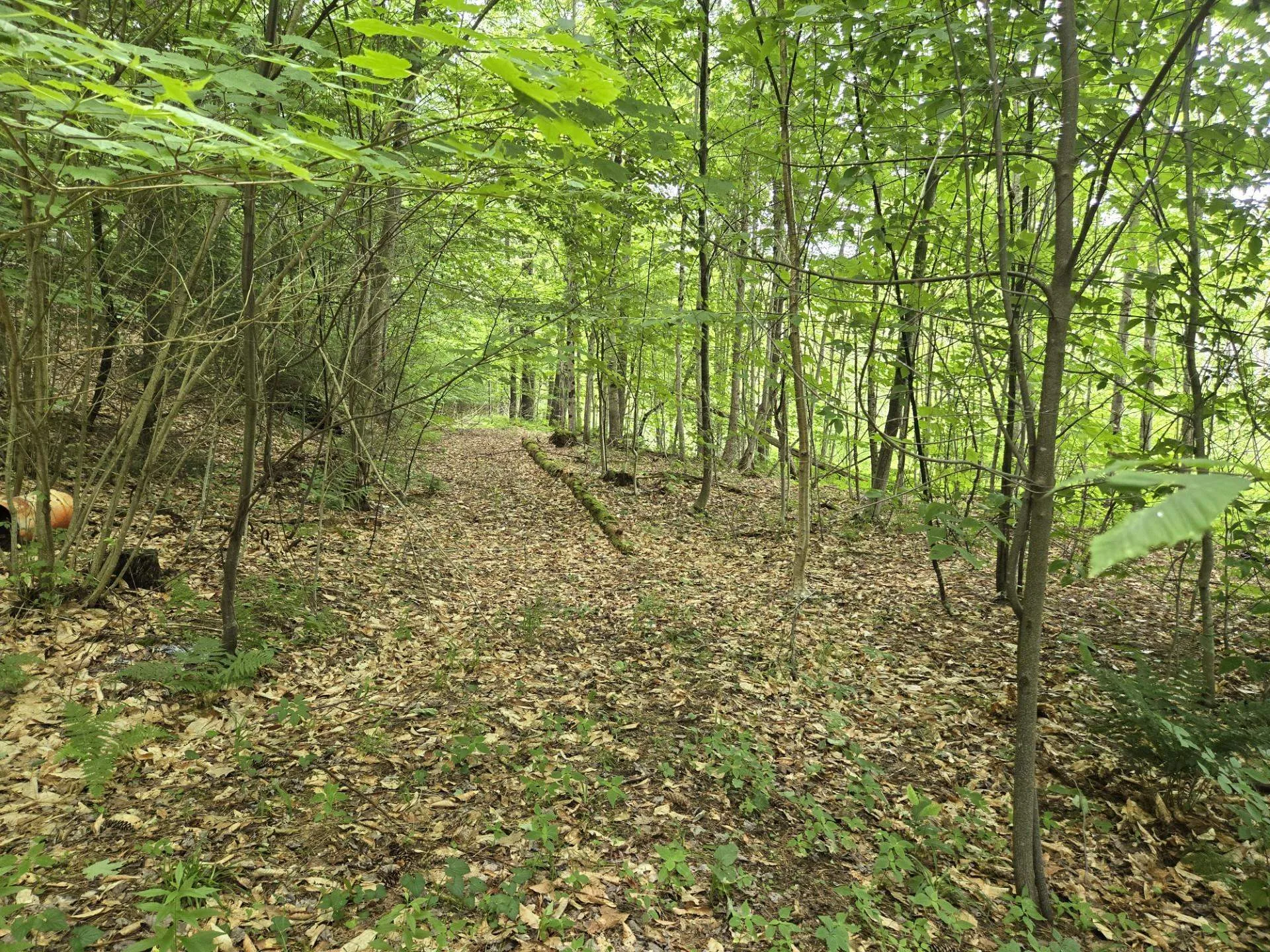 208 Nh Route 3a Hill NH 03243