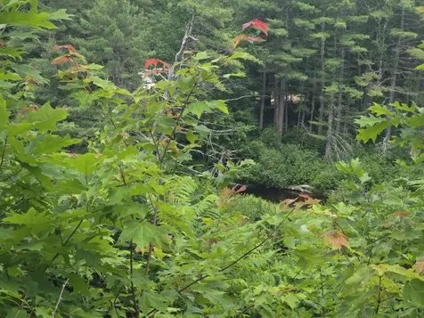 208 Nh Route 3a Hill NH 03243