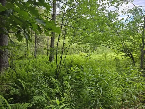 208 Nh Route 3a Hill NH 03243