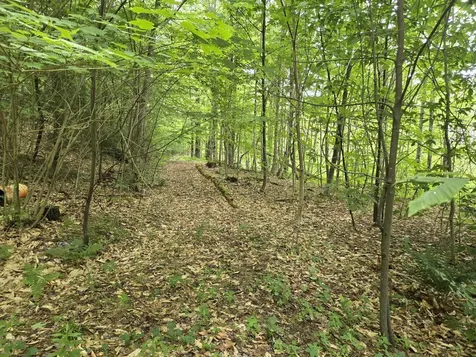 208 Nh Route 3a Hill NH 03243