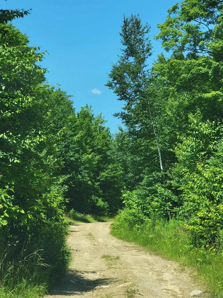 0 Old Gale Hill Road Glastenbury VT 05262