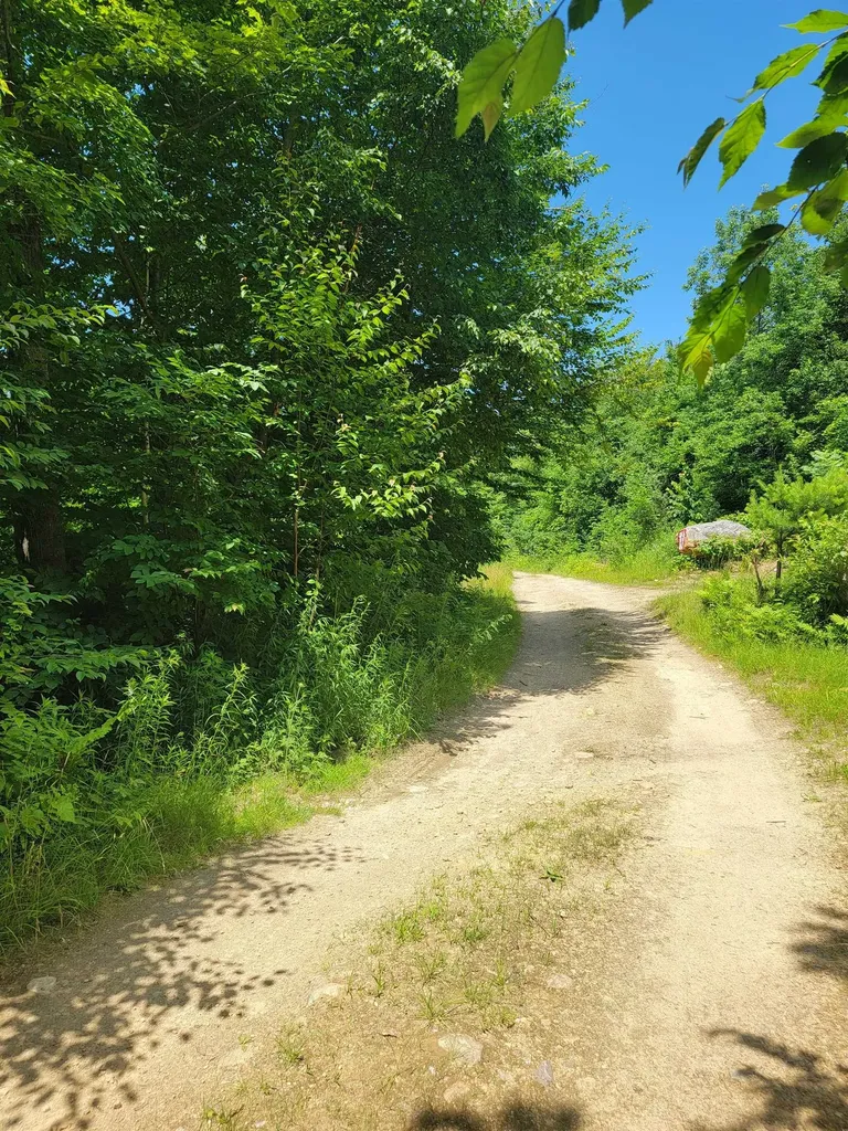 0 Old Gale Hill Road Glastenbury VT 05262