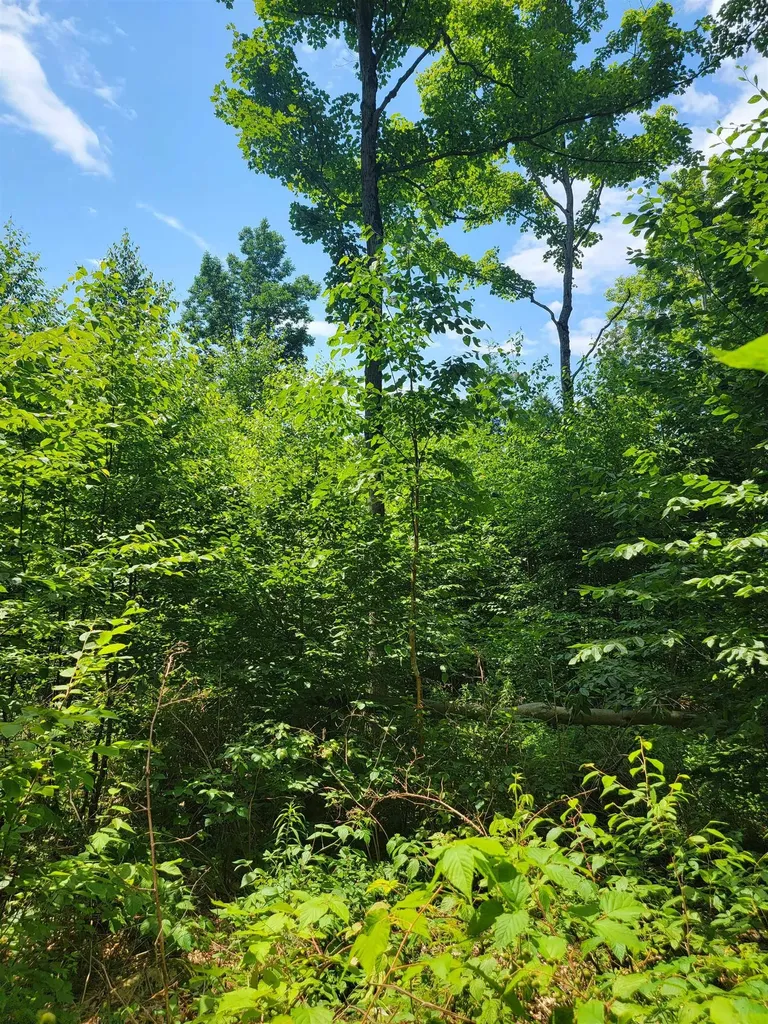 0 Old Gale Hill Road Glastenbury VT 05262