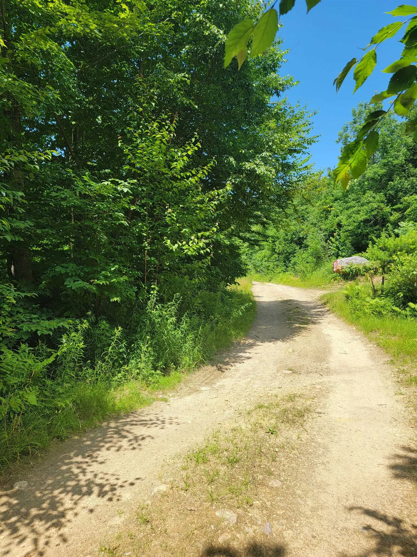 0 Old Gale Hill Road Glastenbury VT 05262
