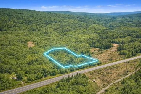 0 Old Gale Hill Road Glastenbury VT 05262