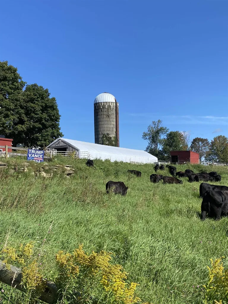 183 Morrie Road Washington VT 05675