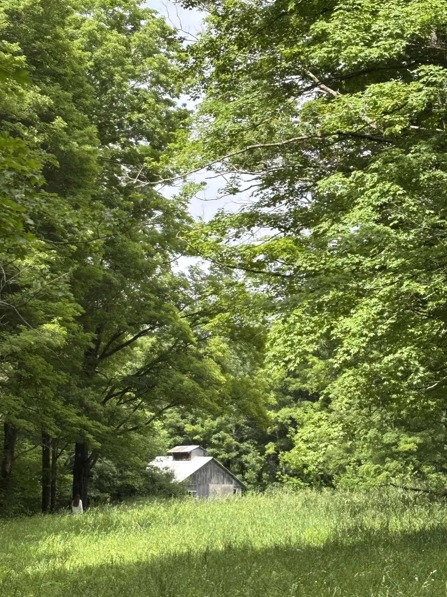183 Morrie Road Washington VT 05675
