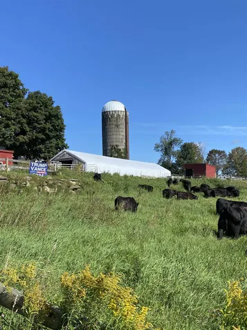183 Morrie Road Washington VT 05675