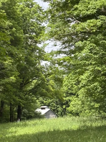 183 Morrie Road Washington VT 05675