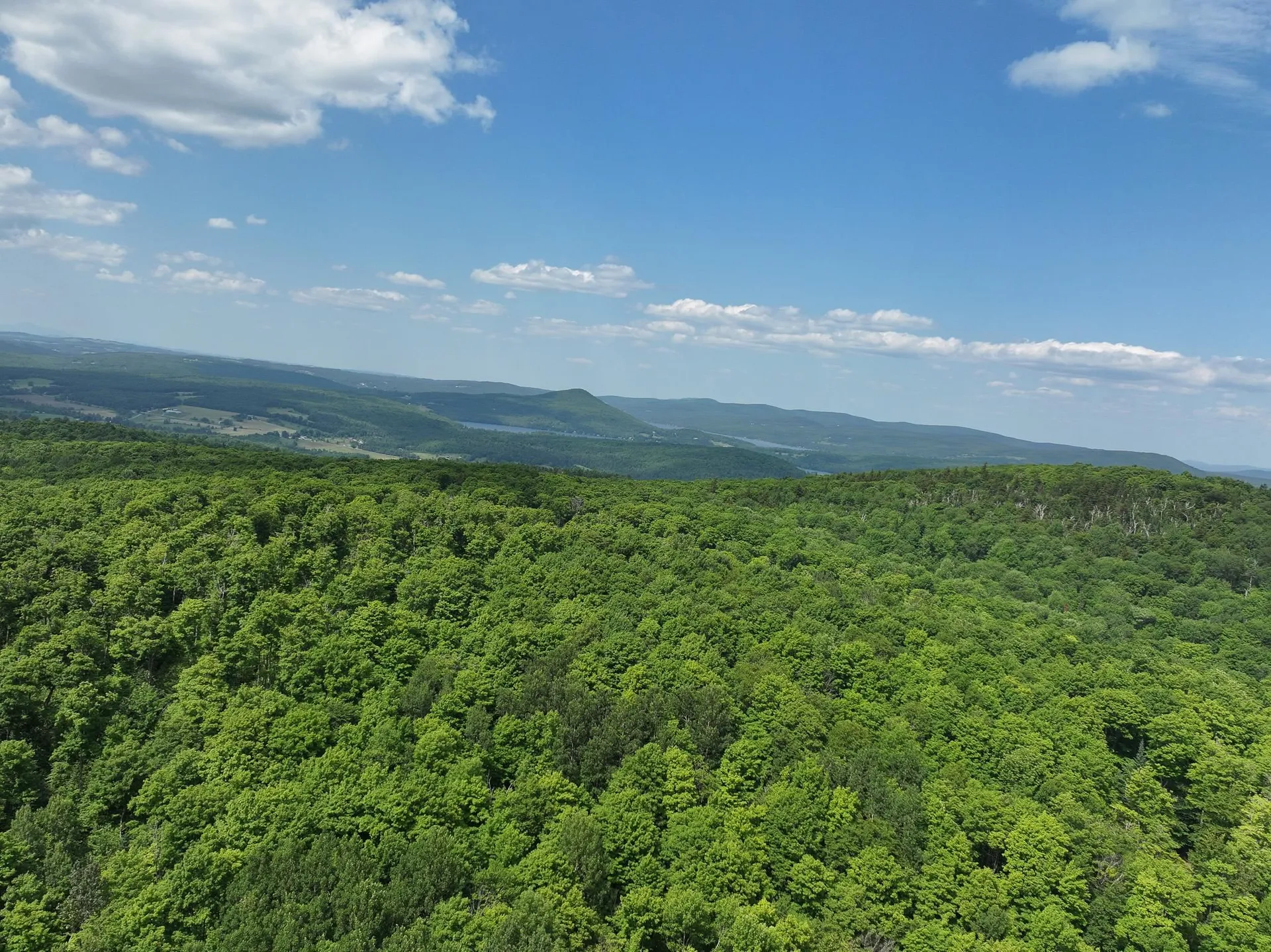 224 Paradise Lane Charleston VT 05872