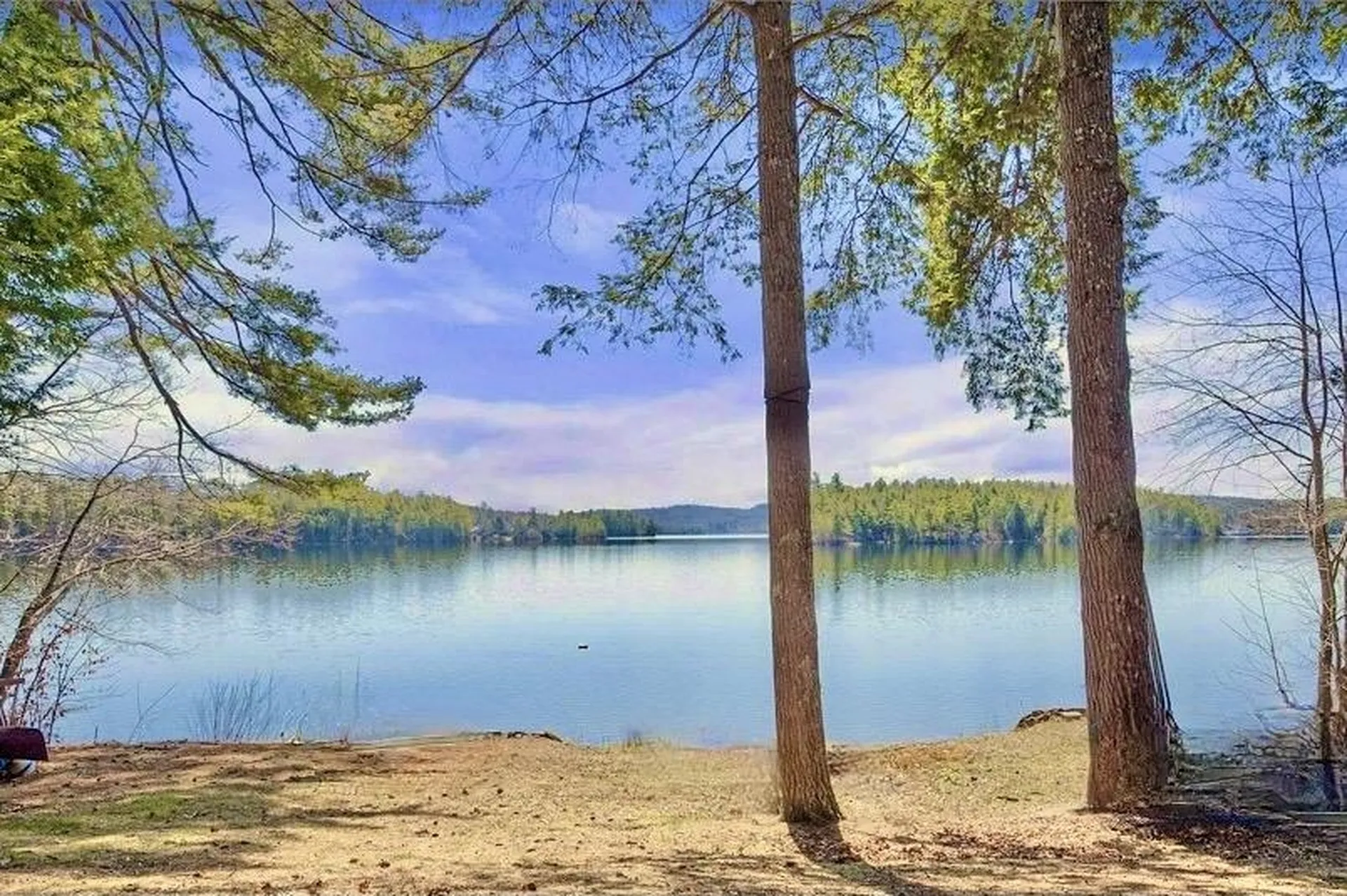 38 Brookside Lane Center Harbor NH 03226