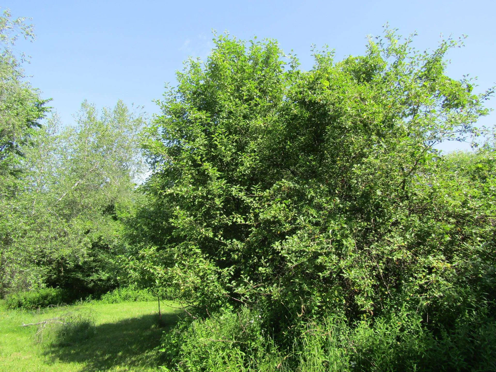 331 Gilman, Lot 3 Road Sheldon VT 05483