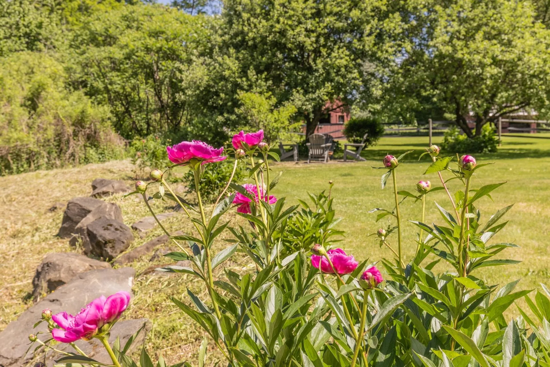 1211 Guptil Road Waterbury VT 05677