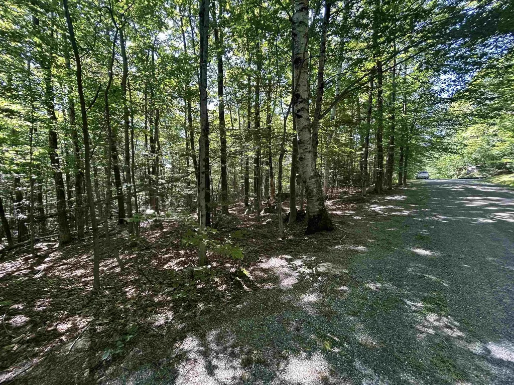 0 Mountain Haunts Winhall VT 05340