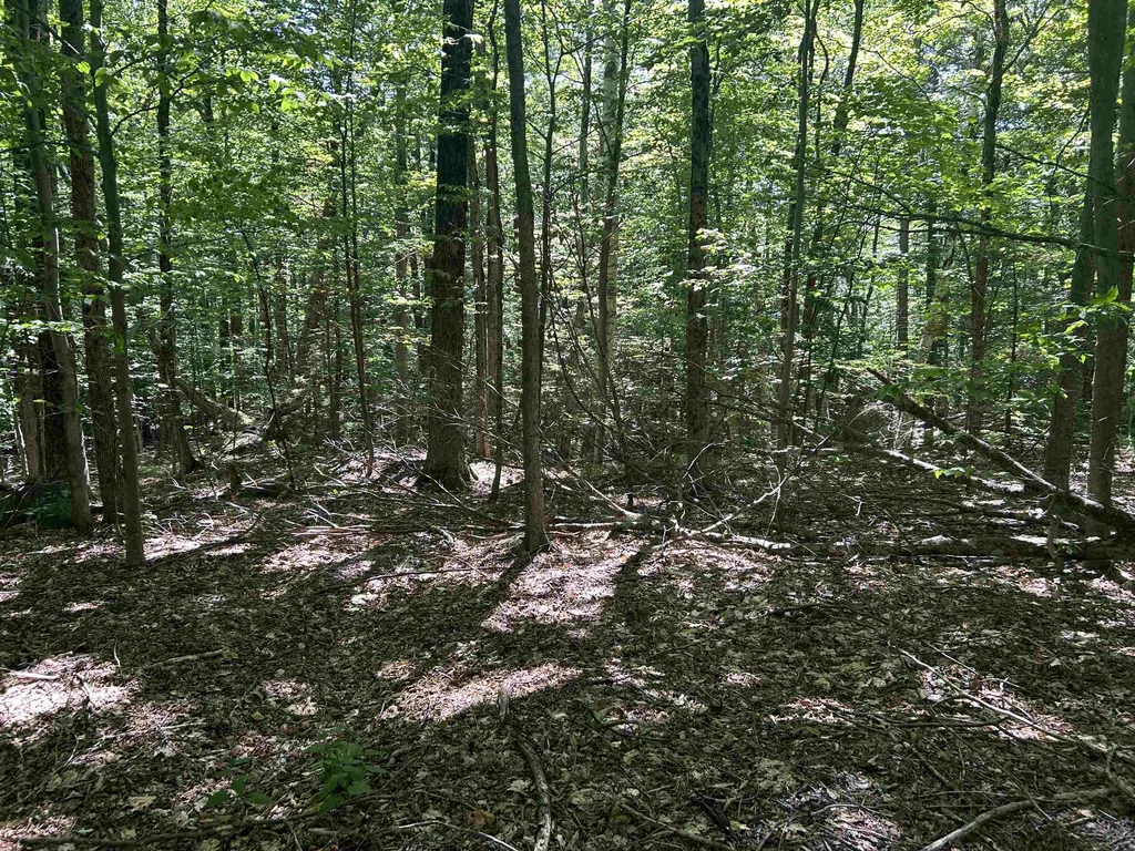 0 Mountain Haunts Winhall VT 05340