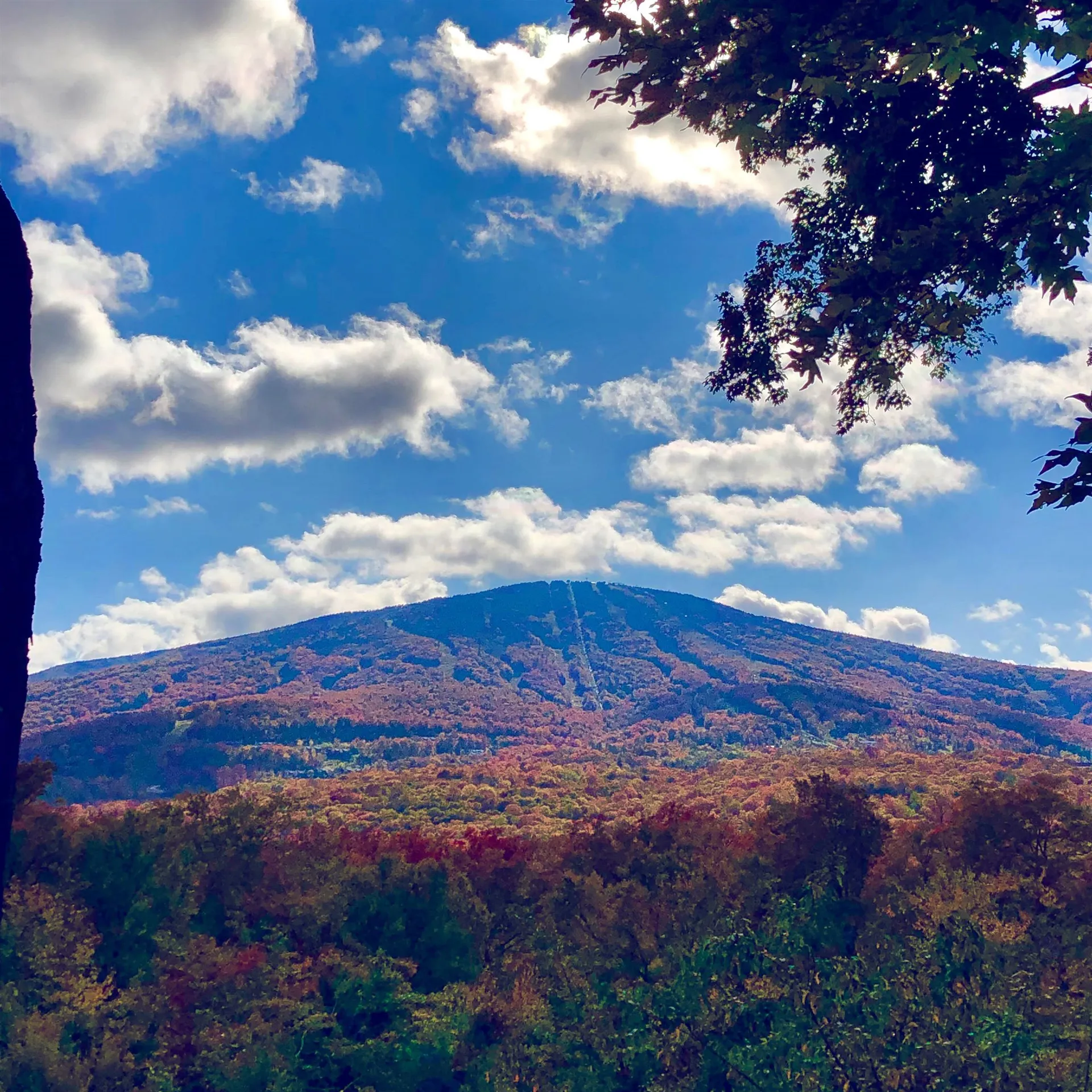 0 Mountain Haunts Winhall VT 05340