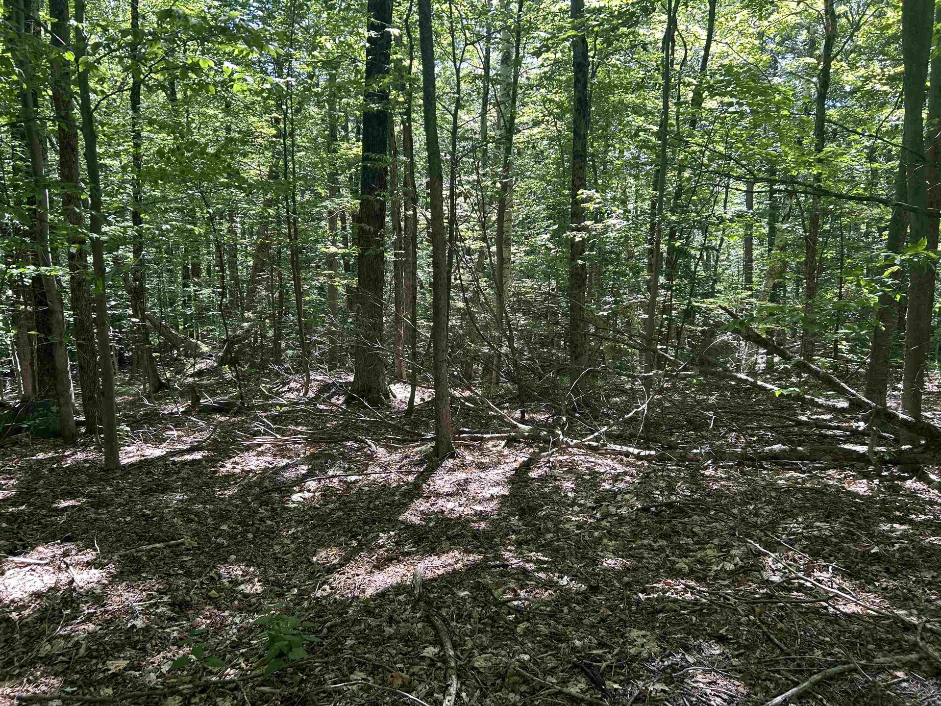 0 Mountain Haunts Winhall VT 05340