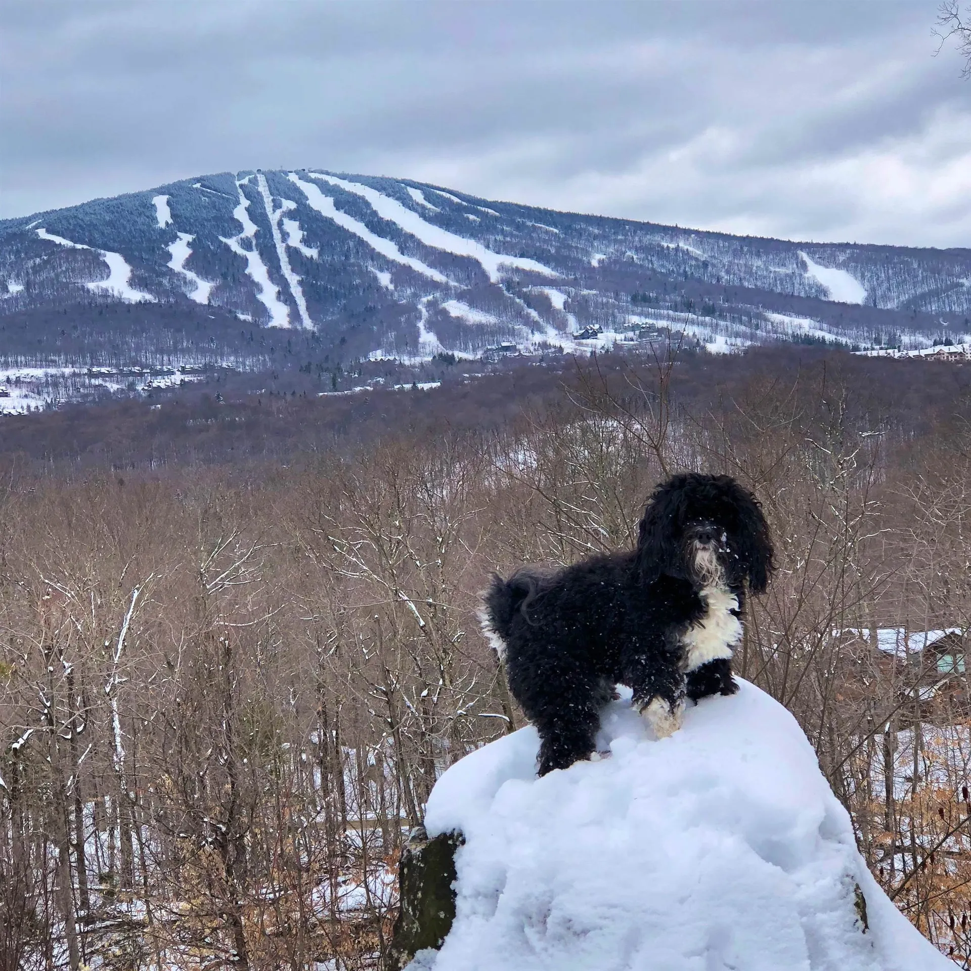 0 Mountain Haunts Winhall VT 05340