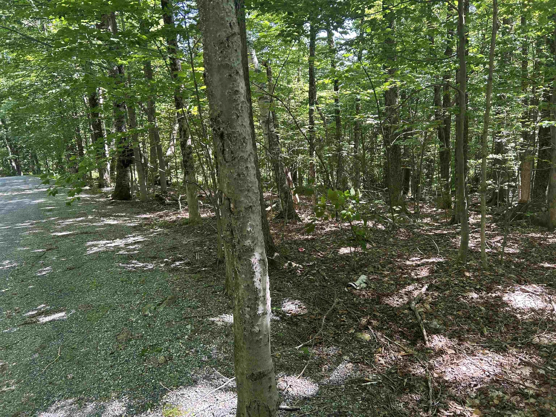 0 Mountain Haunts Winhall VT 05340