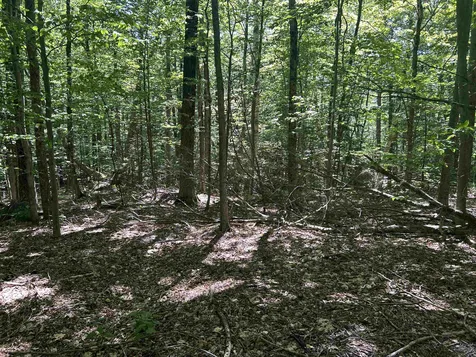 0 Mountain Haunts Winhall VT 05340