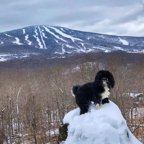 0 Mountain Haunts Winhall VT 05340