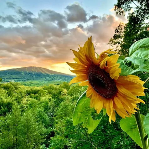 0 Mountain Haunts Winhall VT 05340
