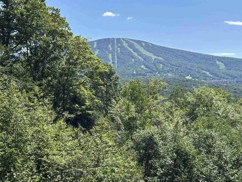 0 Mountain Haunts Winhall VT 05340