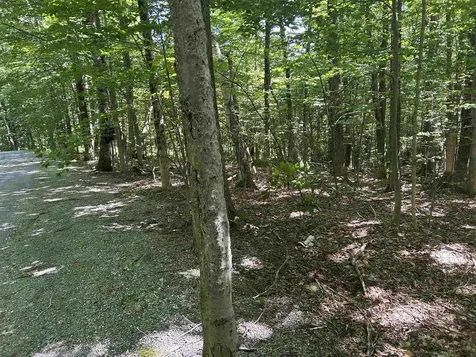 0 Mountain Haunts Winhall VT 05340