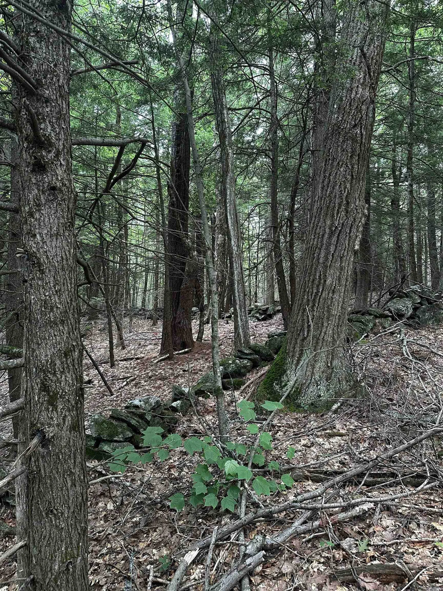 877 N Barnstead Road Barnstead NH 03225