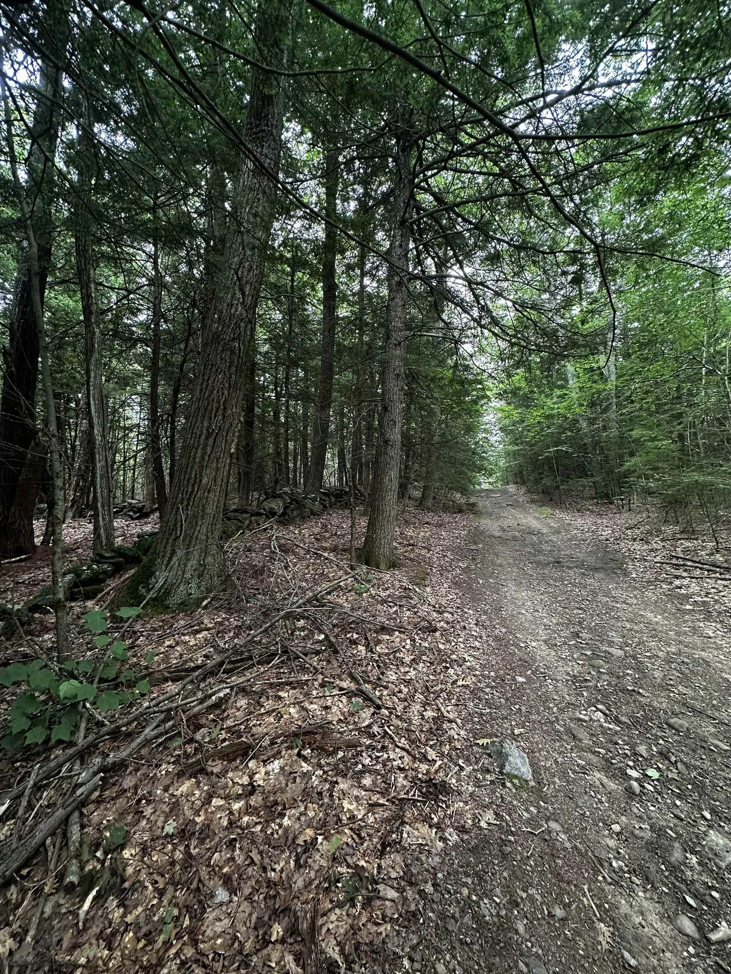 877 N Barnstead Road Barnstead NH 03225
