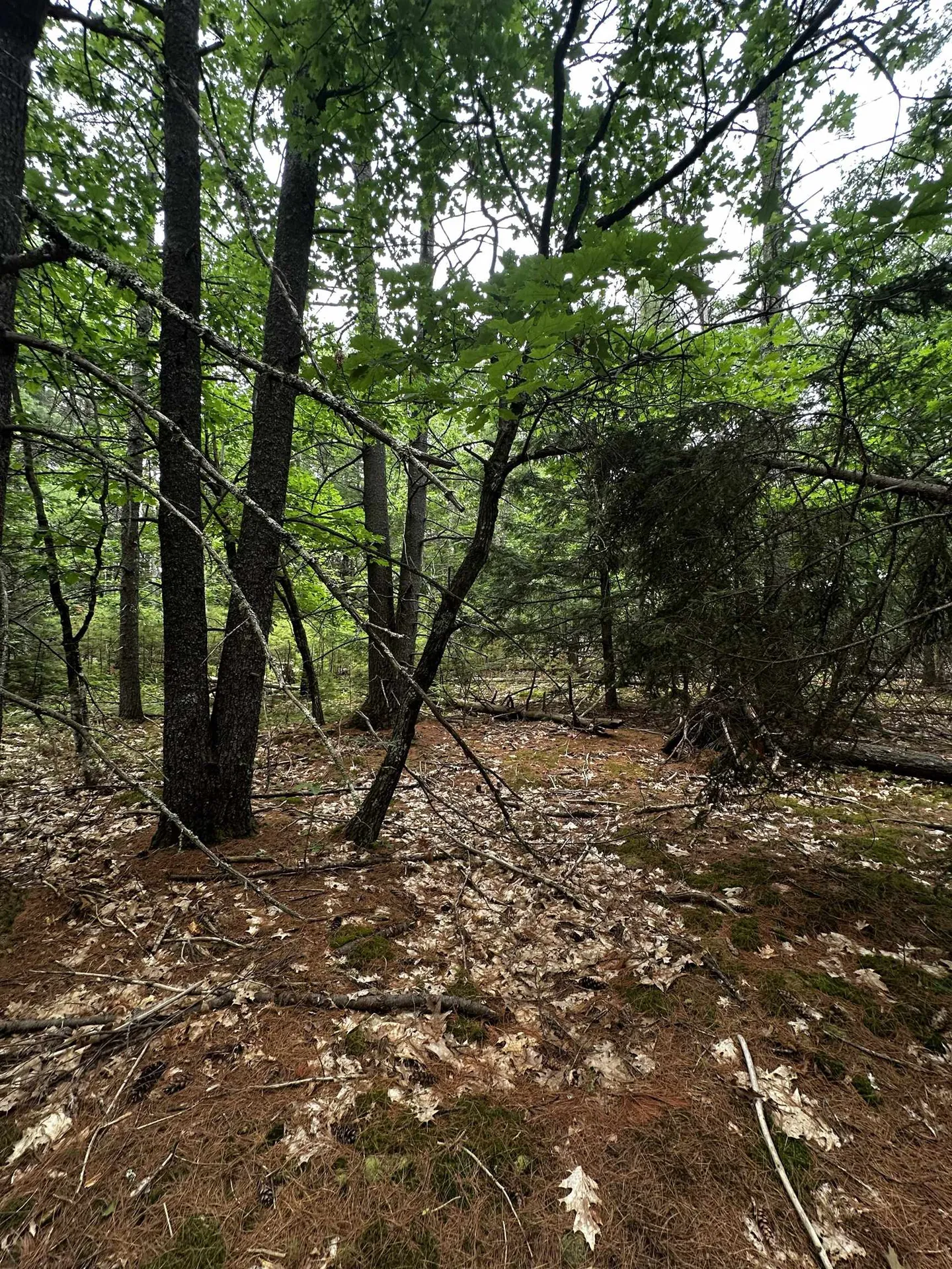 877 N Barnstead Road Barnstead NH 03225