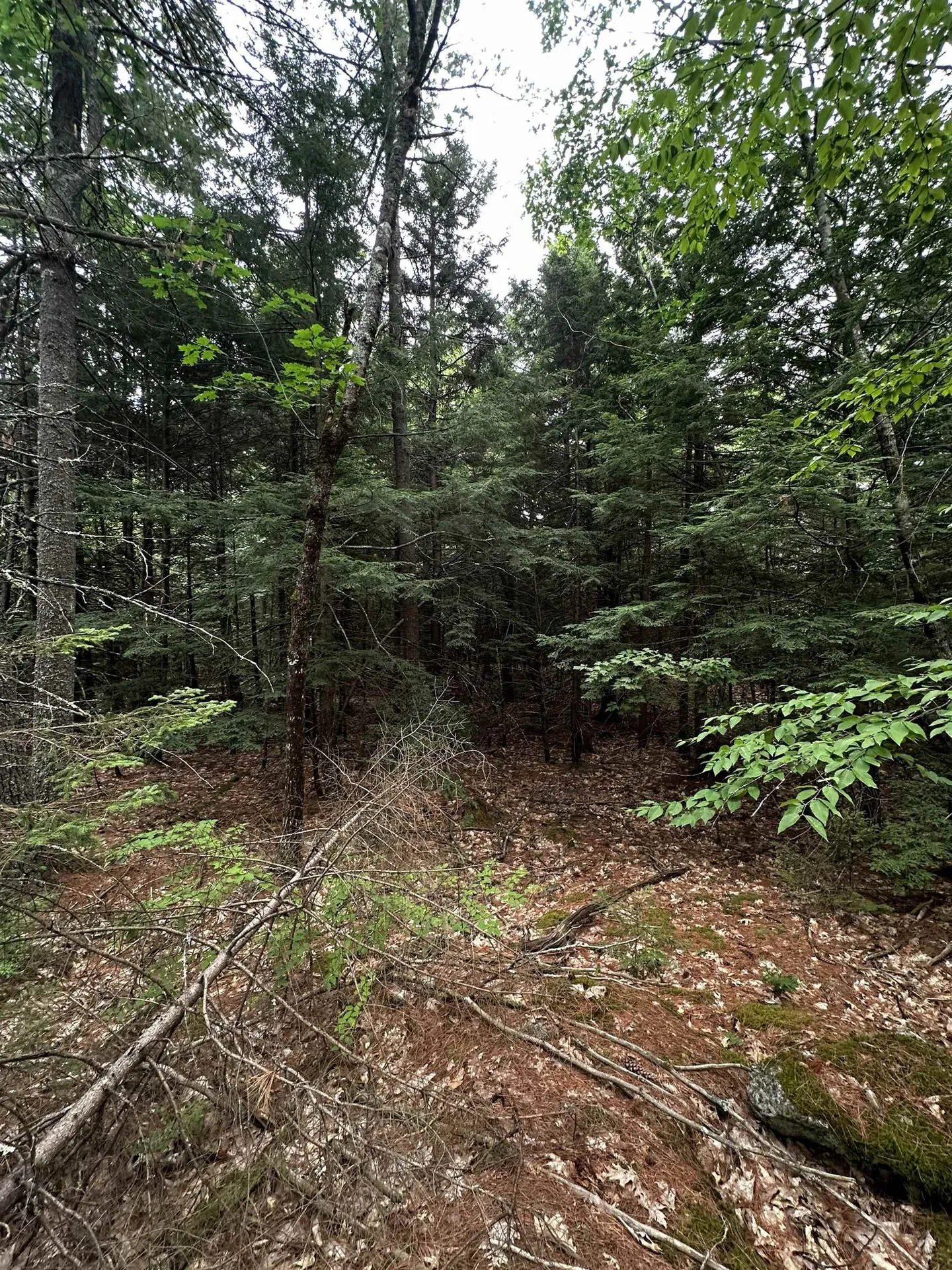 877 N Barnstead Road Barnstead NH 03225