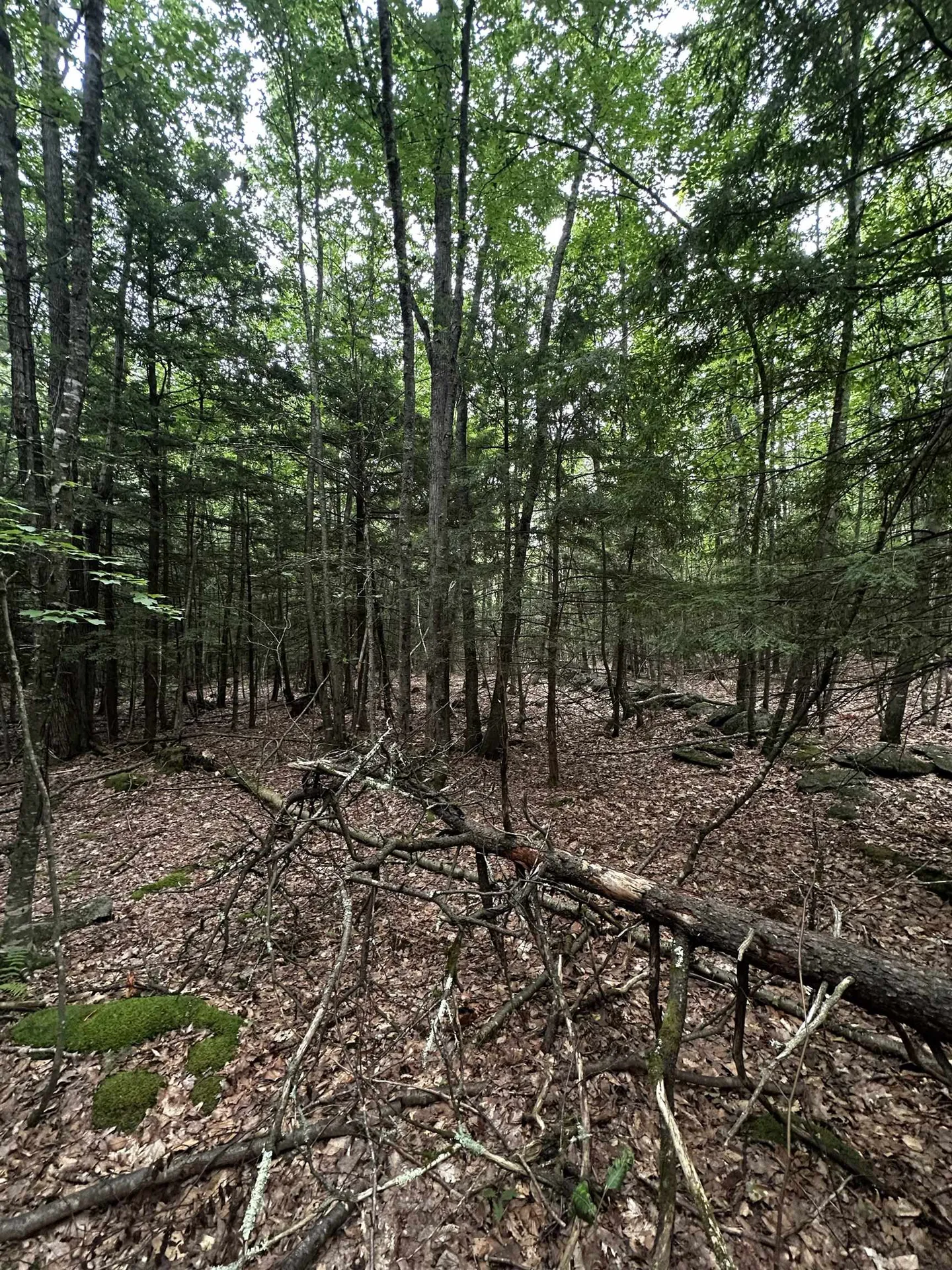 877 N Barnstead Road Barnstead NH 03225