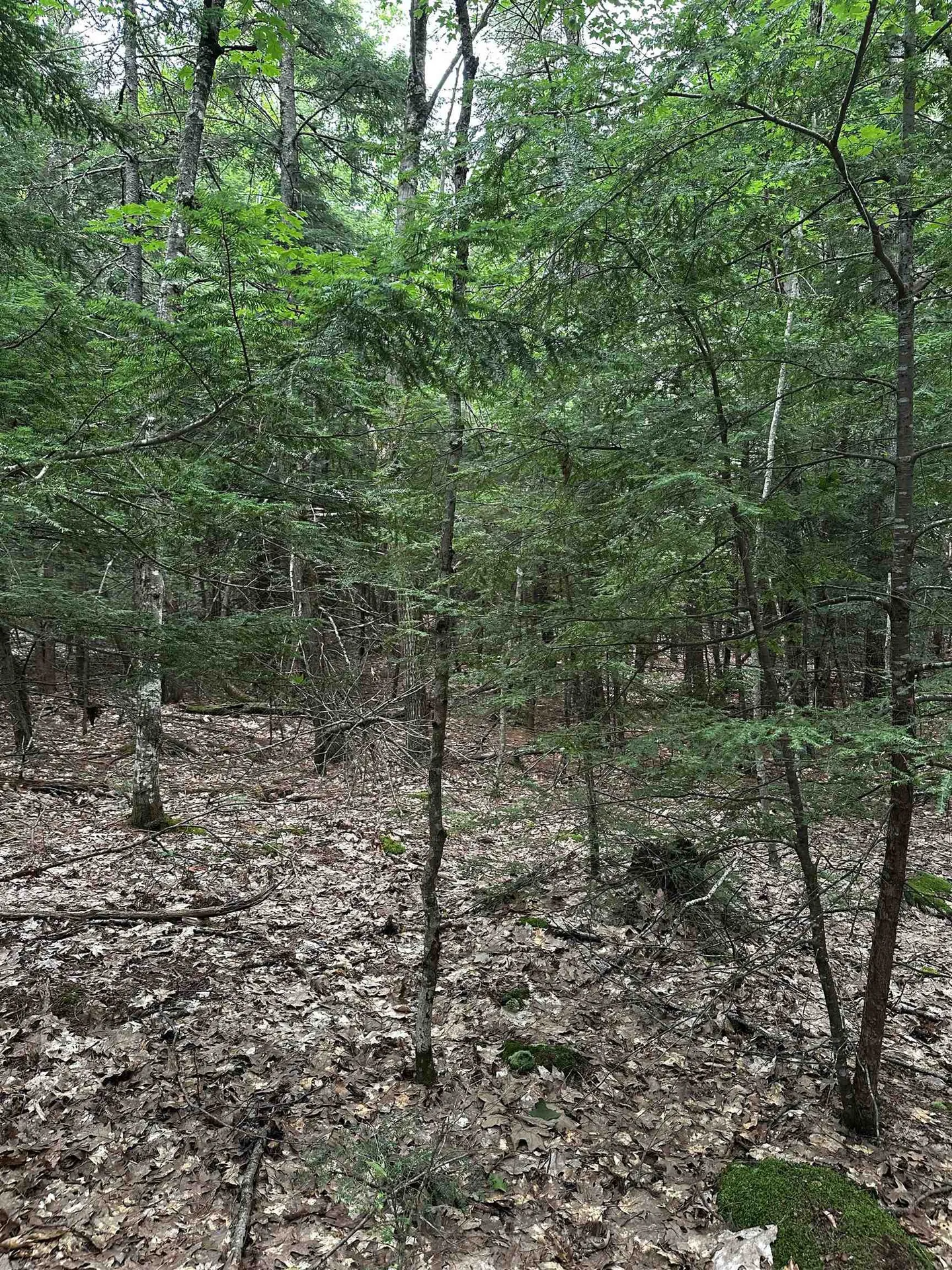 877 N Barnstead Road Barnstead NH 03225