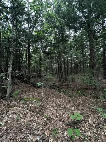 877 N Barnstead Road Barnstead NH 03225