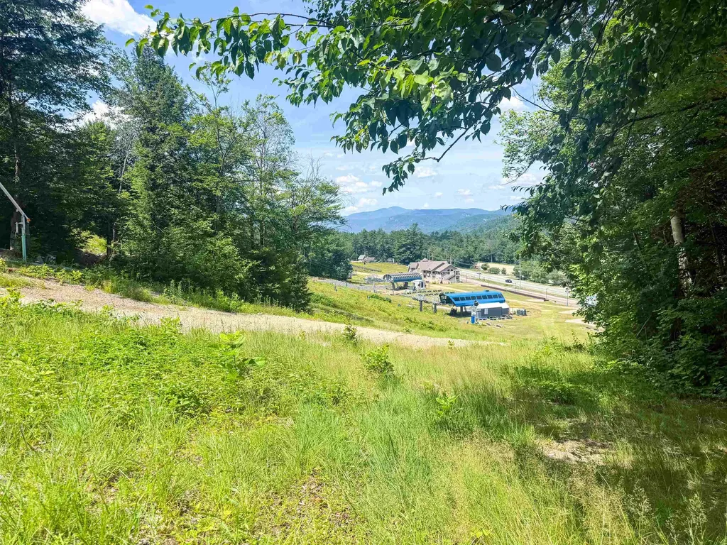243 Cow Hill Road Bartlett NH 03812