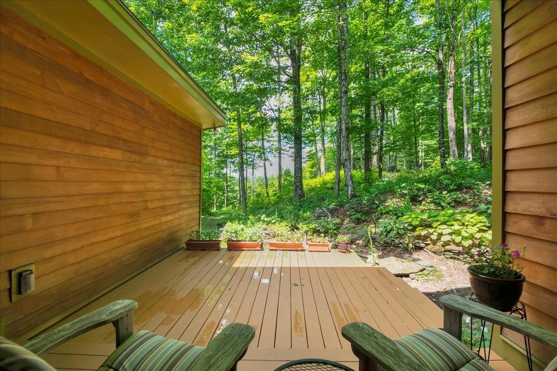 4359 Hollister Hill Road Marshfield VT 05658