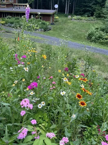 4359 Hollister Hill Road Marshfield VT 05658