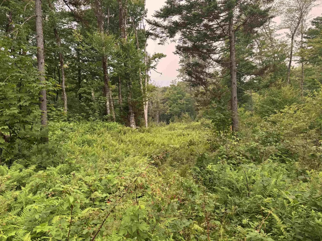 185 Valley View Road Dover VT 05356
