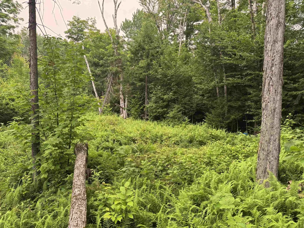 185 Valley View Road Dover VT 05356
