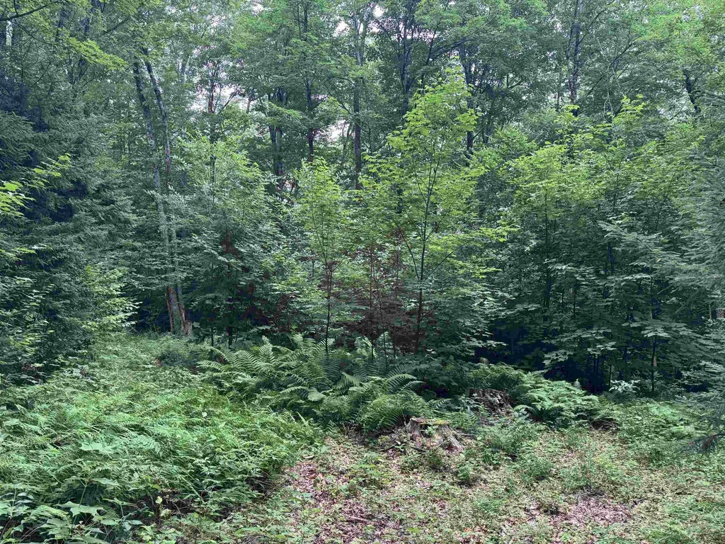 185 Valley View Road Dover VT 05356