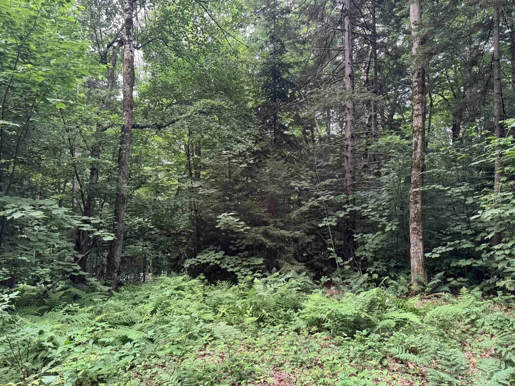 185 Valley View Road Dover VT 05356