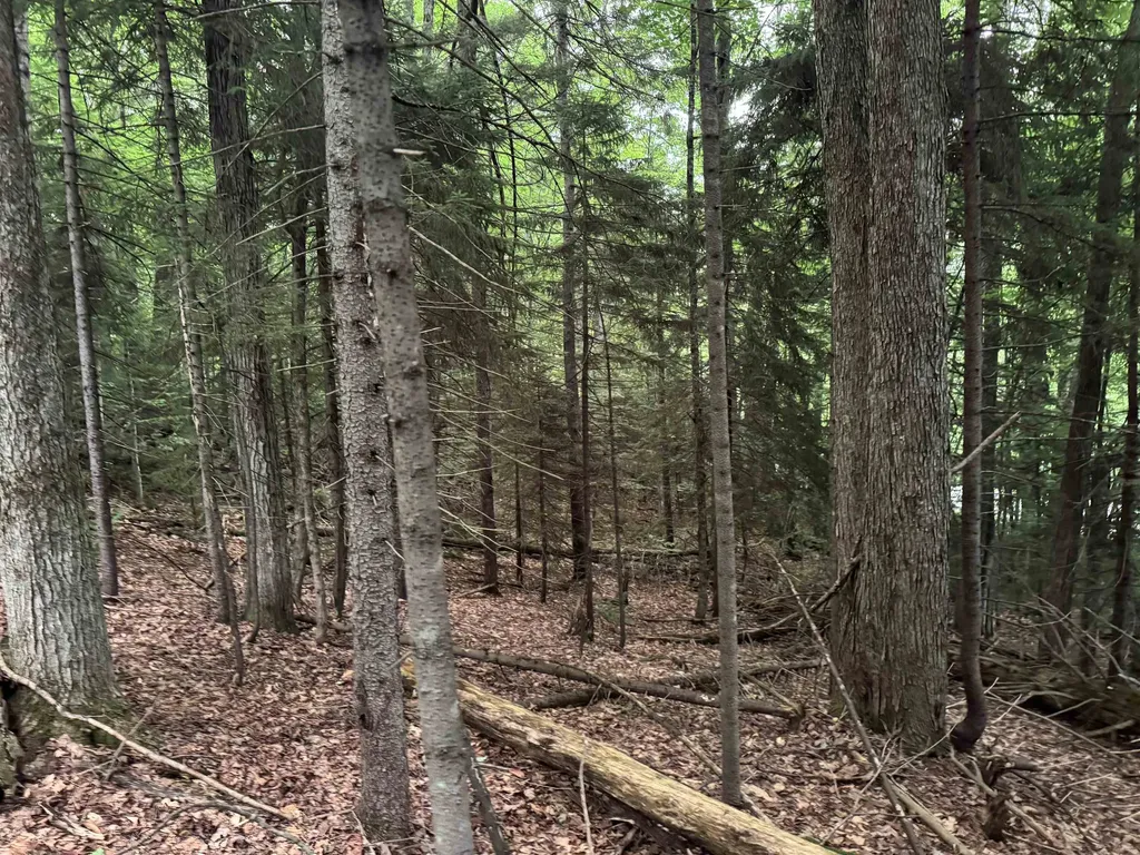 185 Valley View Road Dover VT 05356