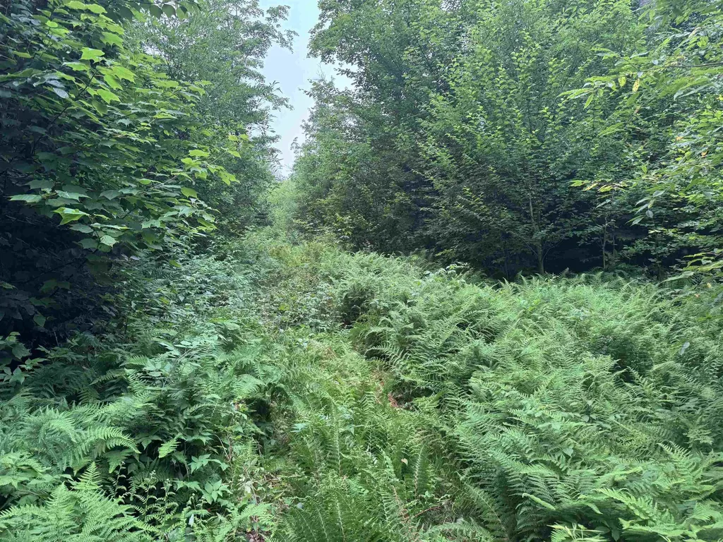 185 Valley View Road Dover VT 05356