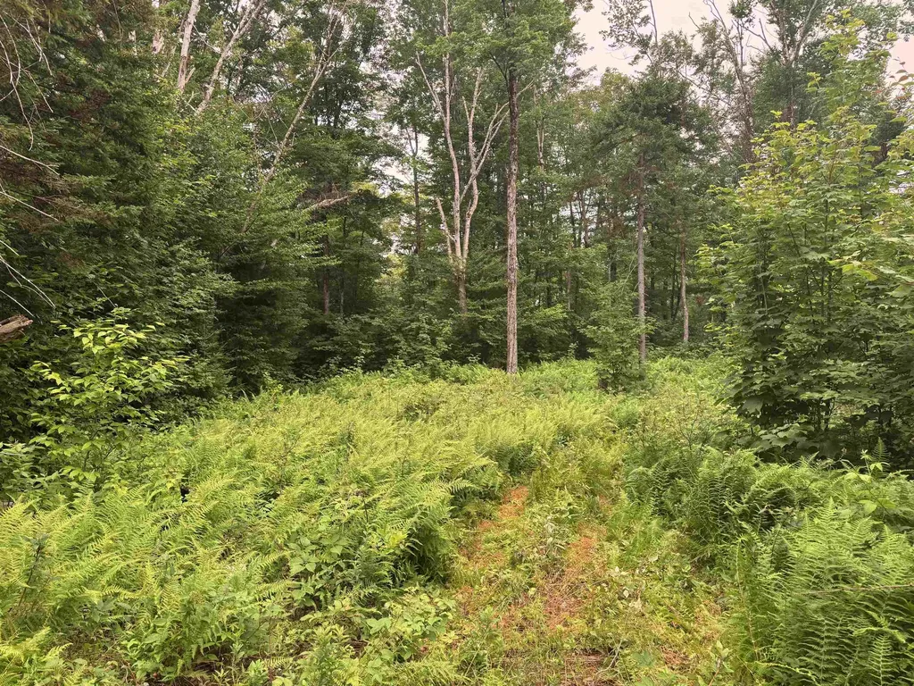 185 Valley View Road Dover VT 05356